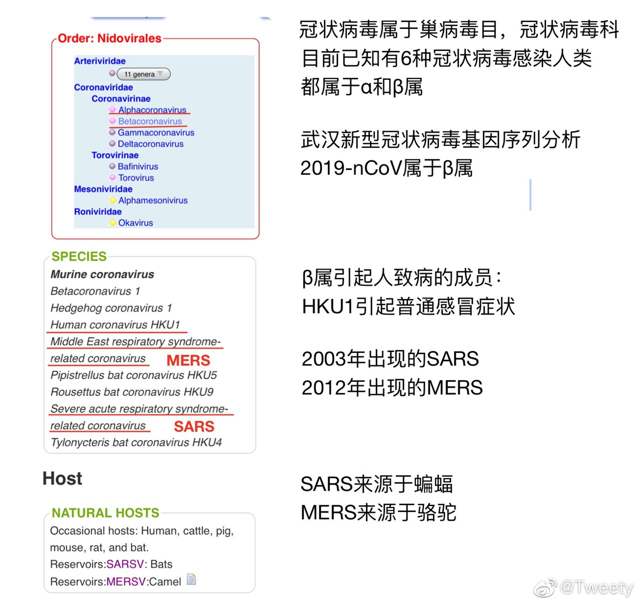 新型冠状病毒2019-nCoV,和SARS,MERS属于同一个病毒属。根据对这两个病毒理化性质的研究,乙醚,酒精,含氯…